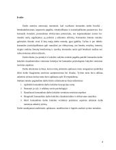 Organizacijos veiklos kokybės gerinimas organizuojant komandinį darbą 4 puslapis