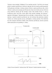 Praktinė ataskaita UAB Skaniava kokybės valdymas 15 puslapis