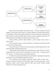 Viešbučio "Linėja" analizė 11 puslapis