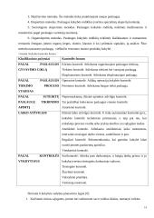 Viešbučio "Linėja" analizė 14 puslapis