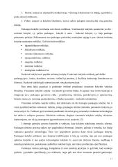 Viešbučio "Linėja" analizė 17 puslapis