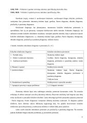 Viešbučio "Linėja" analizė 19 puslapis