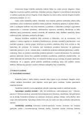 Viešbučio "Linėja" analizė 20 puslapis