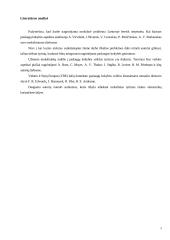 Viešbučio "Linėja" analizė 5 puslapis