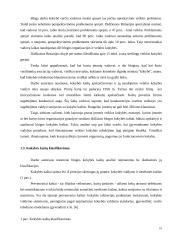 Viešbučio "Linėja" analizė 10 puslapis