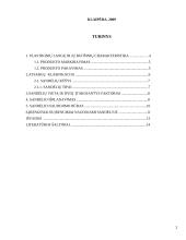 Plastikinių langų sandėliavimo sistemos sukūrimas 2 puslapis