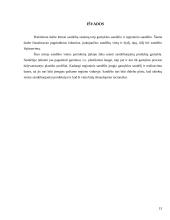 Plastikinių langų sandėliavimo sistemos sukūrimas 13 puslapis