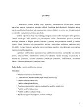 Plastikinių langų sandėliavimo sistemos sukūrimas 3 puslapis