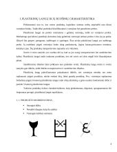 Plastikinių langų sandėliavimo sistemos sukūrimas 4 puslapis