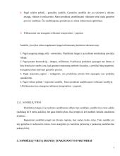 Plastikinių langų sandėliavimo sistemos sukūrimas 7 puslapis