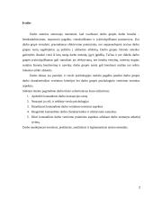 Grupinio darbo efektyvumo įvertinimas referatas 2 puslapis