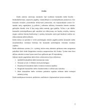 Komandos darbo charakteristikos vertinimo kriterijai bei komandos psichologinio vertinimo teoriniai aspektai 2 puslapis