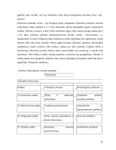 Komandos darbo charakteristikos vertinimo kriterijai bei komandos psichologinio vertinimo teoriniai aspektai 17 puslapis