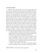 Komandos darbo charakteristikos vertinimo kriterijai bei komandos psichologinio vertinimo teoriniai aspektai 19 puslapis