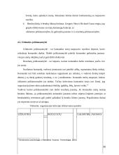 Komandos darbo charakteristikos vertinimo kriterijai bei komandos psichologinio vertinimo teoriniai aspektai 20 puslapis