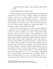 Komandos darbo charakteristikos vertinimo kriterijai bei komandos psichologinio vertinimo teoriniai aspektai 8 puslapis