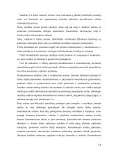 Verslo komunikacinių krizių vadybos principai 19 puslapis