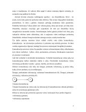 Verslo komunikacinių krizių vadybos principai 7 puslapis