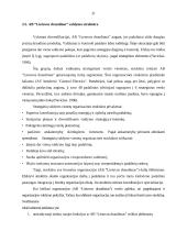 AB “Lietuvos draudimas” valdymo tobulinimas 20 puslapis