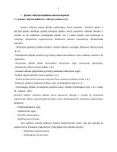 AB “Lietuvos draudimas” valdymo tobulinimas 3 puslapis