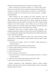 Informacinių sistemų panaudojimas transporto marketinge 10 puslapis