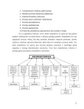 Ekspedicinė veikla logistikoje 11 puslapis
