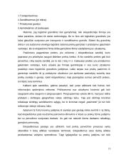 Ekspedicinė veikla logistikoje 13 puslapis