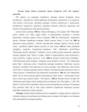 Ekspedicinė veikla logistikoje 16 puslapis