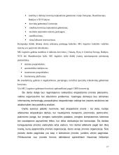 Ekspedicinė veikla logistikoje 17 puslapis