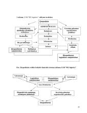 Ekspedicinė veikla logistikoje 20 puslapis