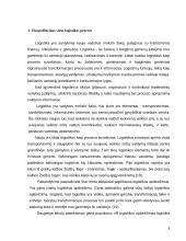 Ekspedicinė veikla logistikoje 4 puslapis