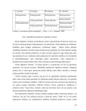 Prekių pristatymas po prekybos taškus 14 puslapis