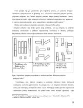 Prekių pristatymas po prekybos taškus 16 puslapis