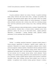 Prekių pristatymas po prekybos taškus 4 puslapis