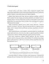 Prekių pristatymas po prekybos taškus 6 puslapis