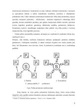 Prekių pristatymas po prekybos taškus 9 puslapis