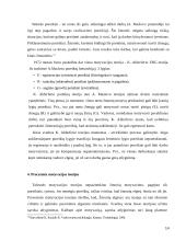 Motyvacijos teorijos referatas 14 puslapis