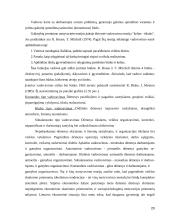 Motyvacijos teorijos referatas 20 puslapis