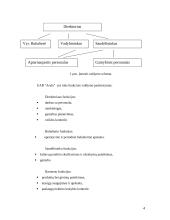 UAB “Arula” personalo vadyba 4 puslapis