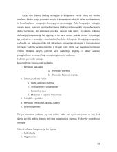 Šiuolaikinės darbo organizavimo problemos organizacijose 13 puslapis