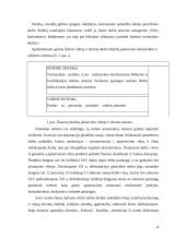 Šiuolaikinės darbo organizavimo problemos organizacijose 4 puslapis