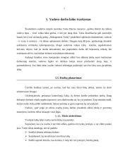 Vadovo darbo planavimas 3 puslapis