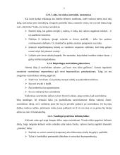 Vadovo darbo planavimas 6 puslapis