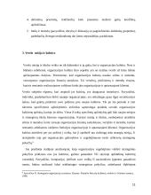 Įmonės vizija, misija ir tikslai 11 puslapis