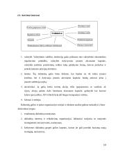 Įmonės vizija, misija ir tikslai 10 puslapis