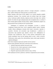 Organizacijos aplinkos analizė bei lygiai 2 puslapis