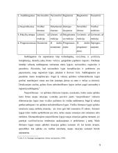 Organizacijos aplinkos analizė bei lygiai 5 puslapis