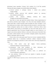 Organizacijos žlugimo priežastys 11 puslapis