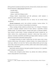 Organizacijos žlugimo priežastys 13 puslapis