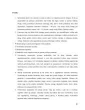 Organizacijos žlugimo priežastys 20 puslapis